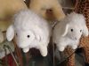 sheep toys